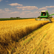 Illustration for article titled This Is How the World Is Growing More Food With Less Land